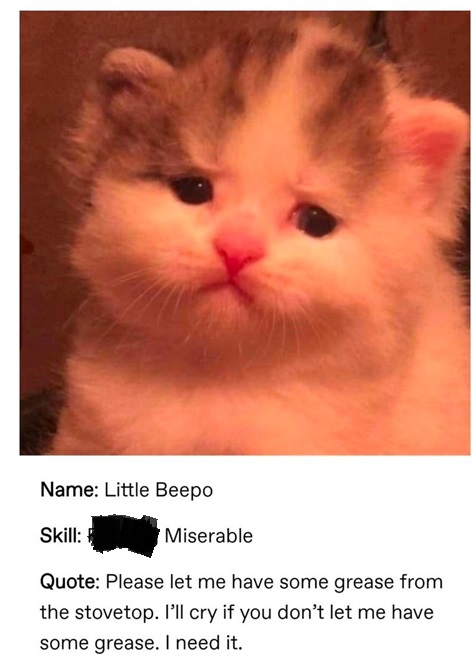 beepo.jpg