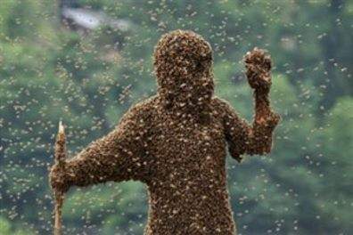 Bees1-300x200.jpg