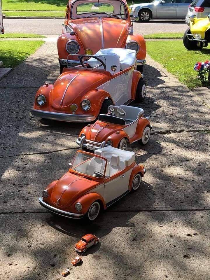 beetles.jpg