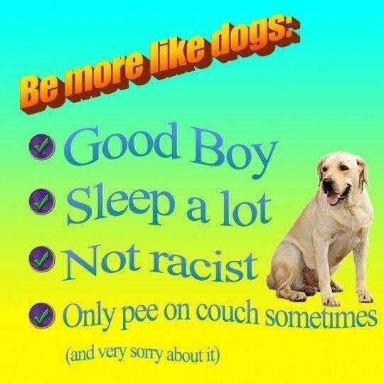 belikedogs.jpg