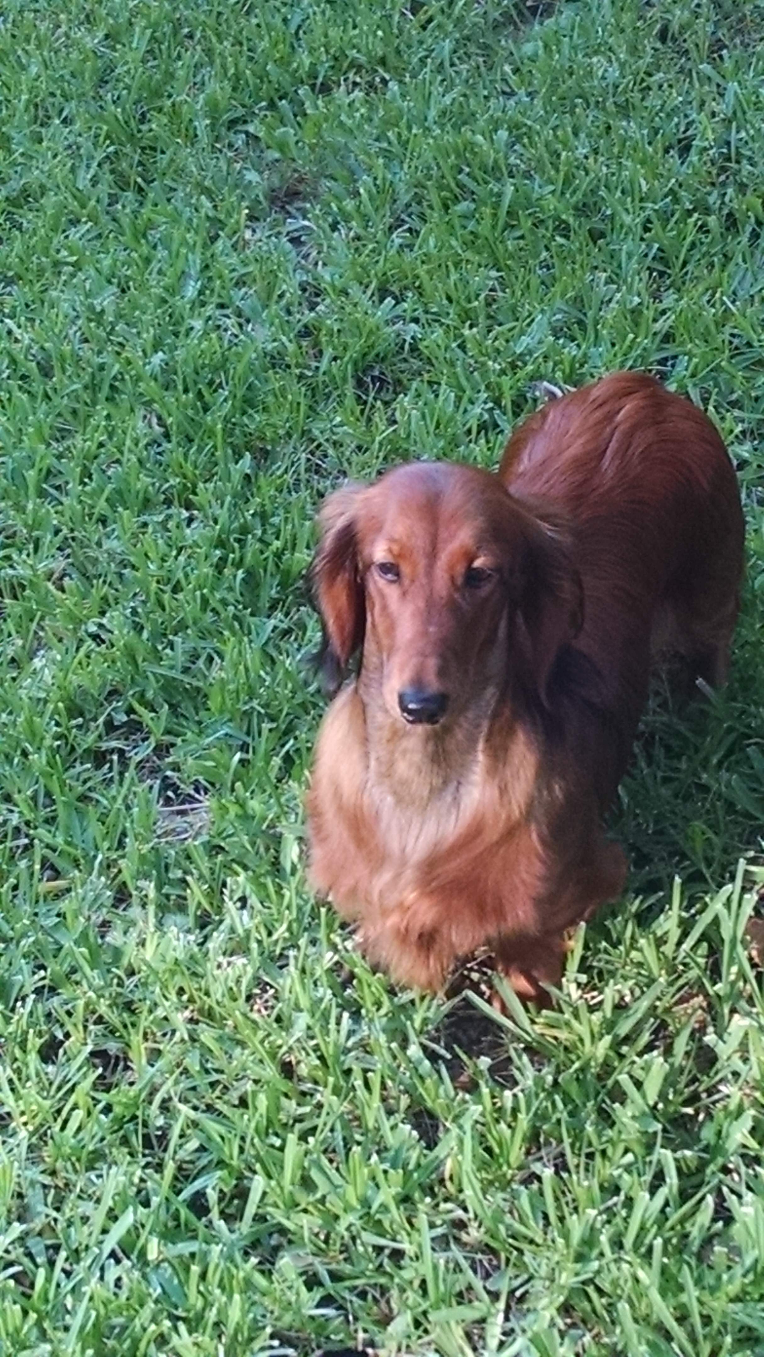 Bella.jpg