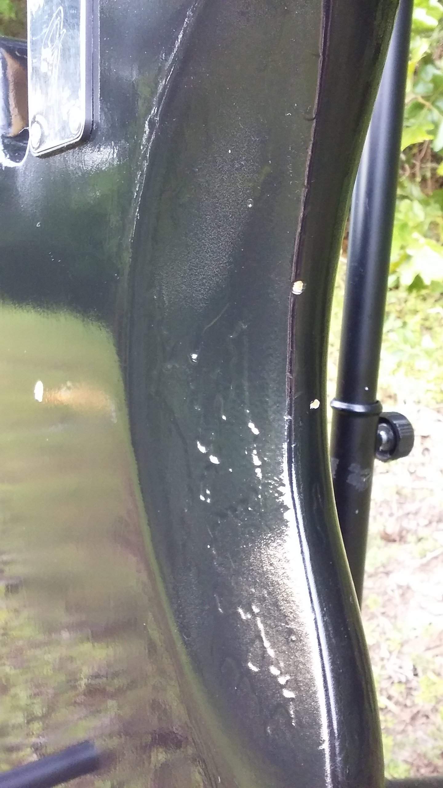 bellycuttrear.jpg