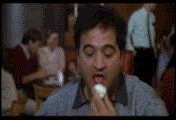 Belushi-ZIT.gif