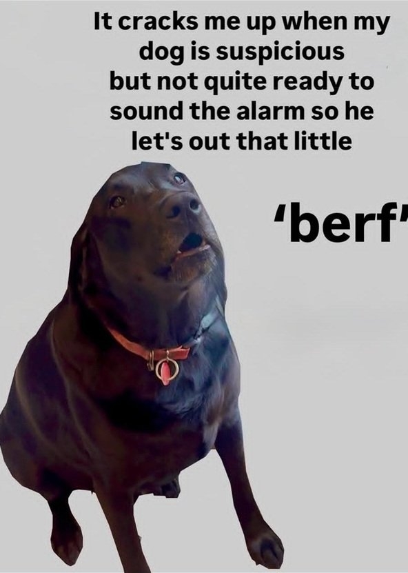 berf dog.jpg