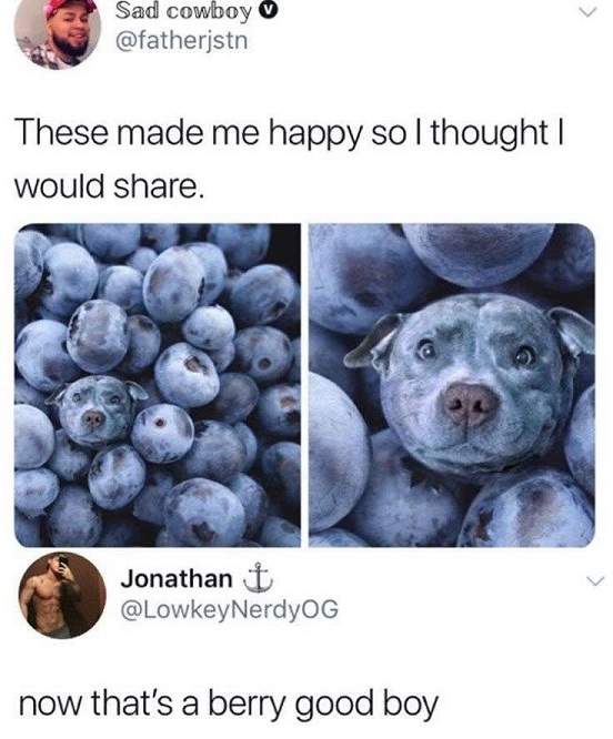 berry good boy.jpg