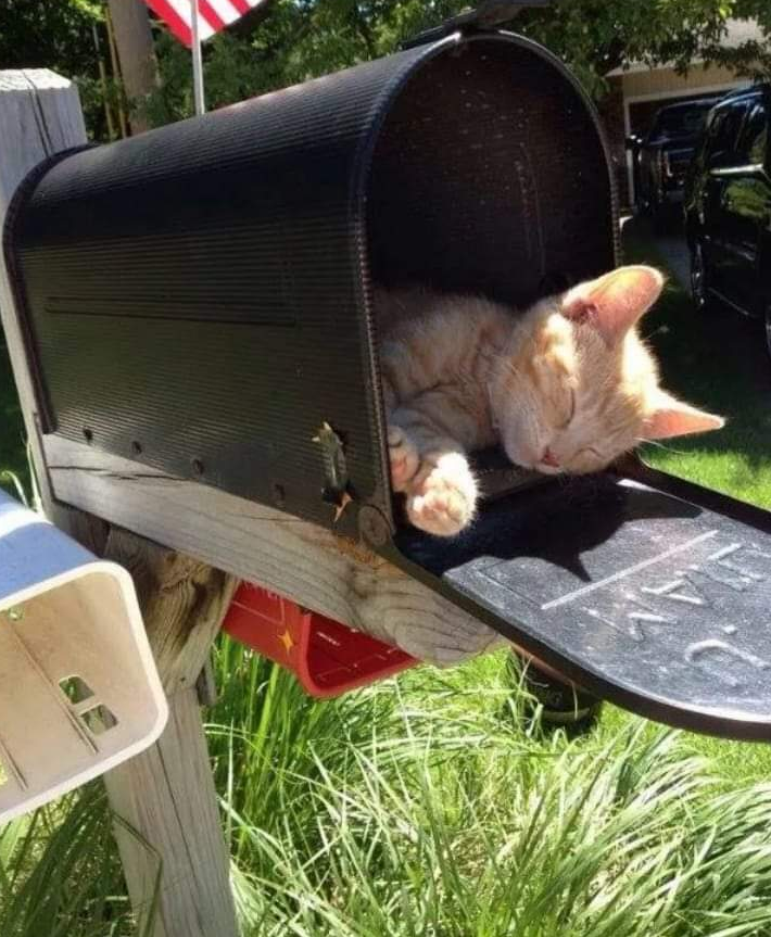 Best mail ever.png