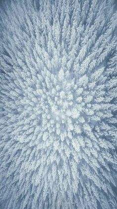BF141F1C-971D-4280-897C-F3AE7FC71F7A.jpeg