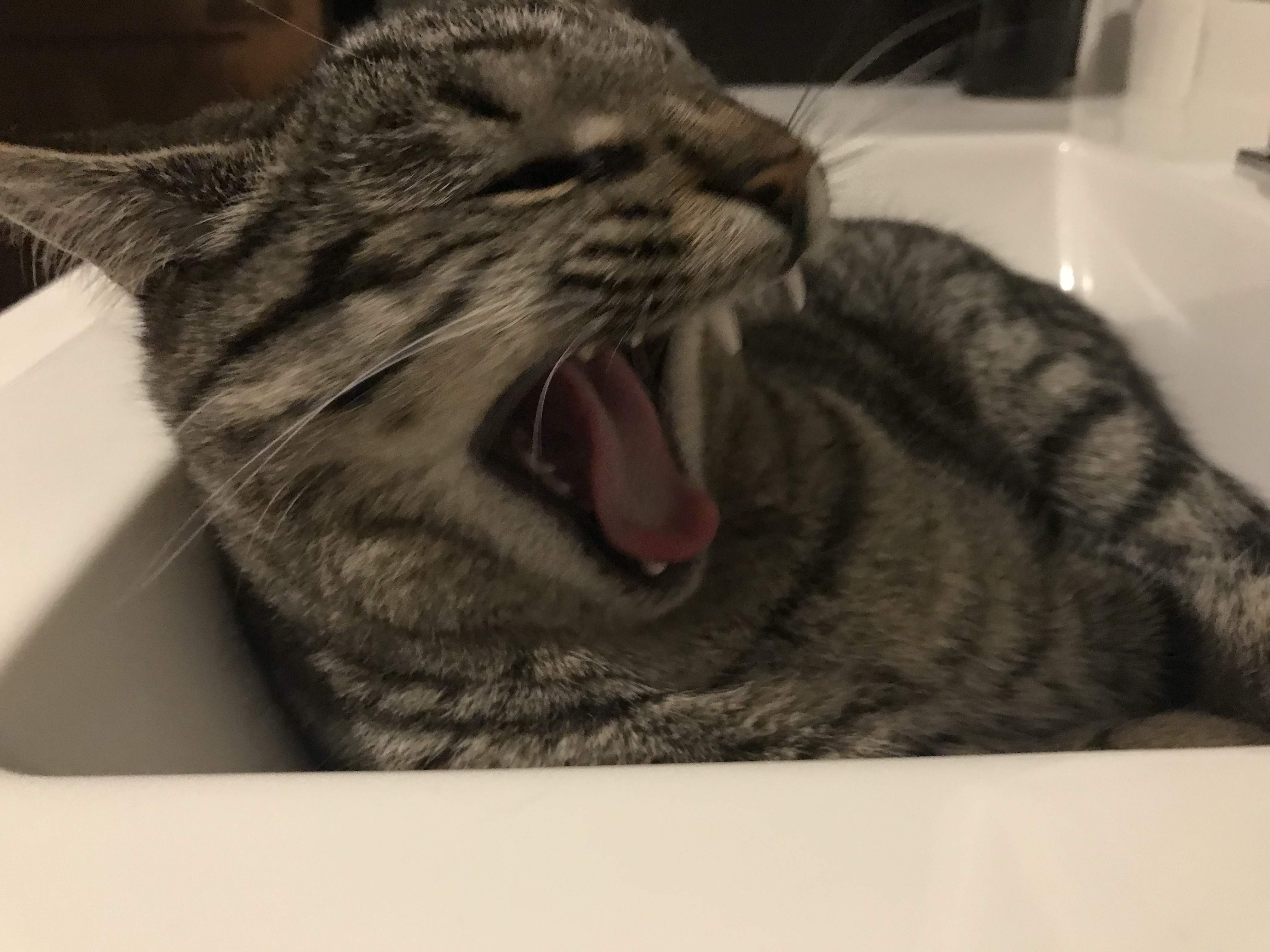 BFDB5B8F-A7CE-45EA-AECE-9A11CE156022.jpeg