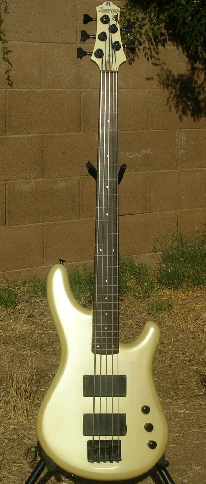 bgu3kg.jpg