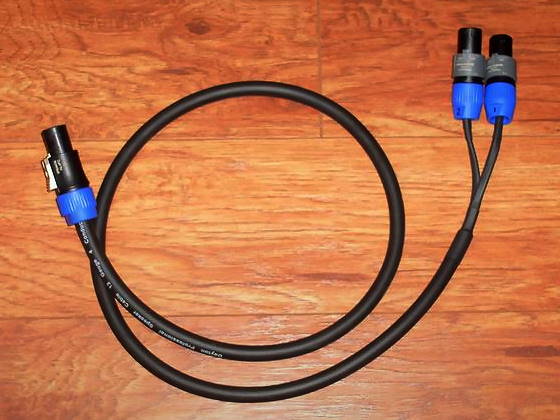 BiampCable1.jpg