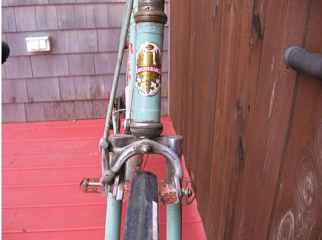 bianchi1.jpg