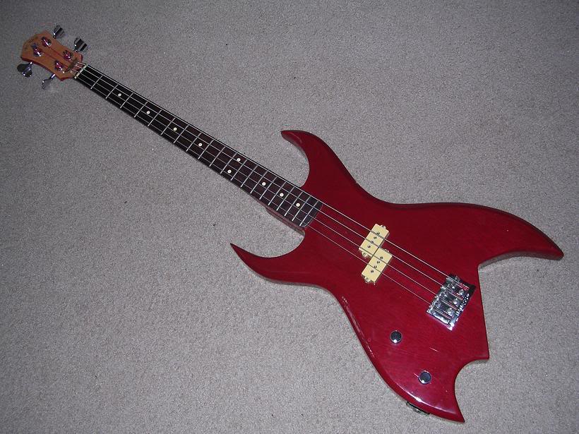 Bich01a.jpg