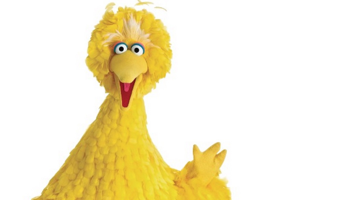 big-bird.jpg