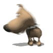 big_headed_tiny_dog_chasing_tail_md.gif