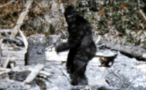 bigfoot.jpg