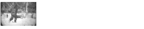 Bigfoot2.gif