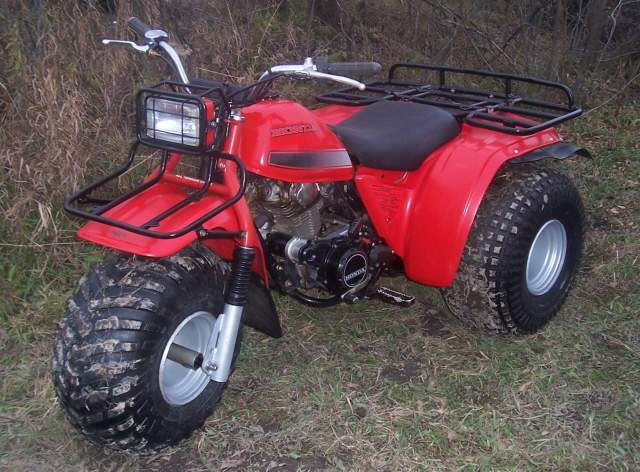 bigred.jpg