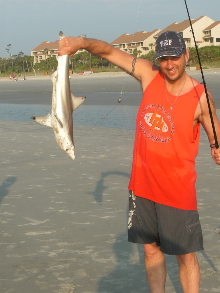 bigshark3.jpg