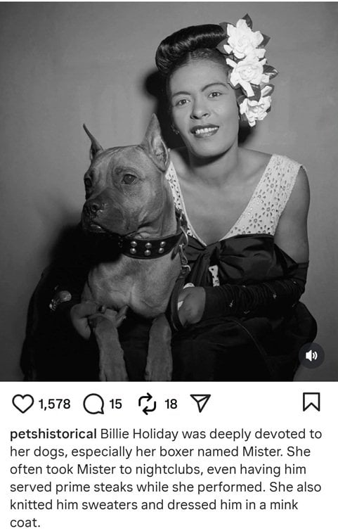 Billie dog.jpg