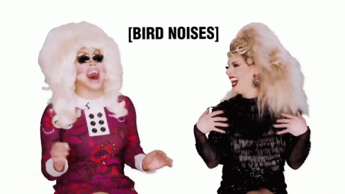 bird-noises-katya.gif