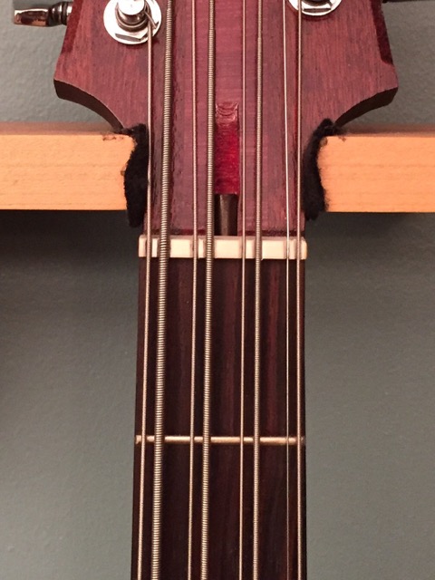 Bird_0063.jpg
