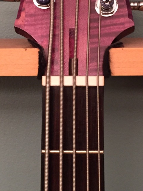 Bird_0064.jpg