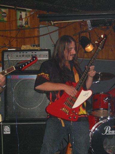 bird_VII_in_a_bar.jpg