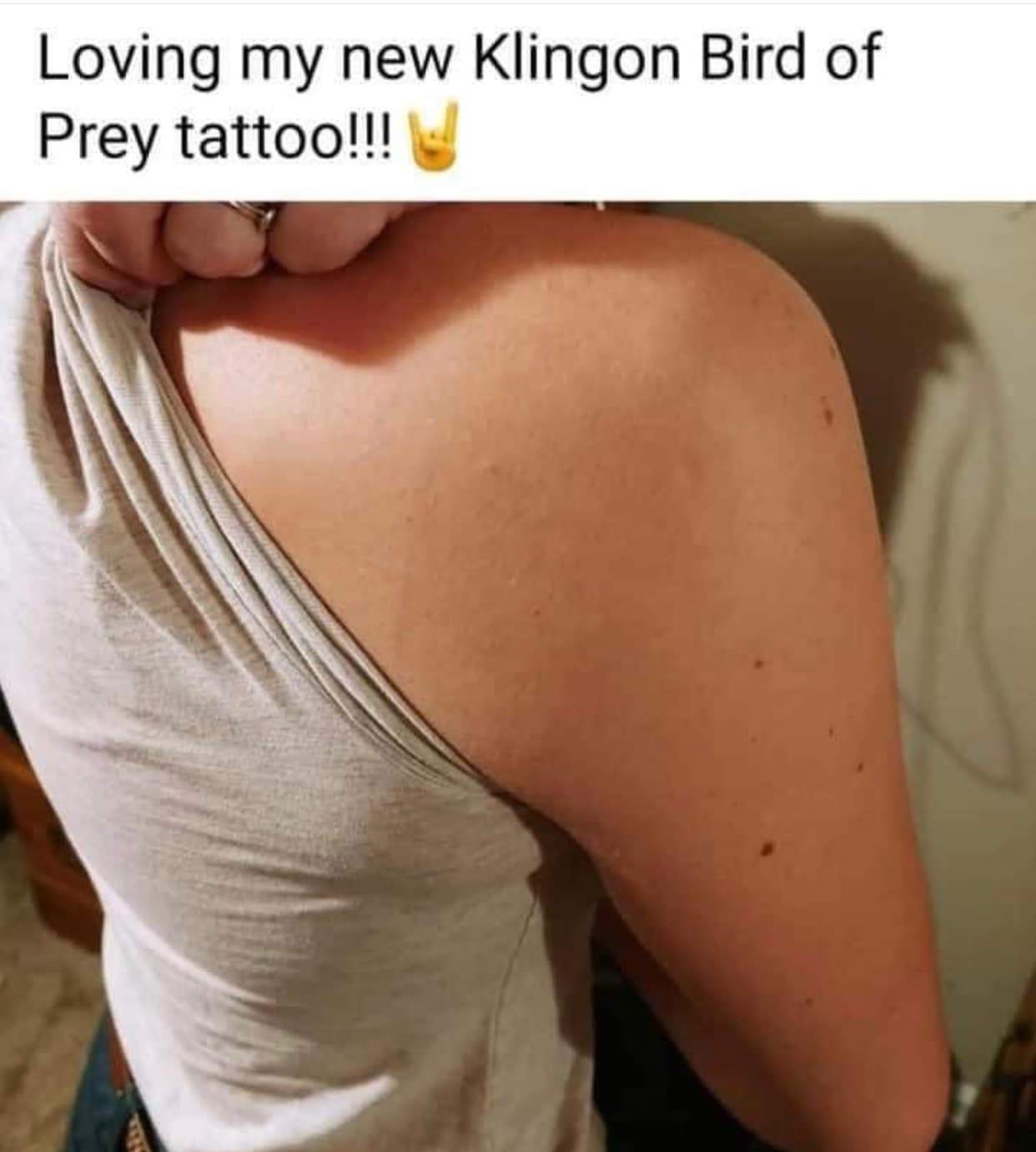birdofpreytattoo.jpg