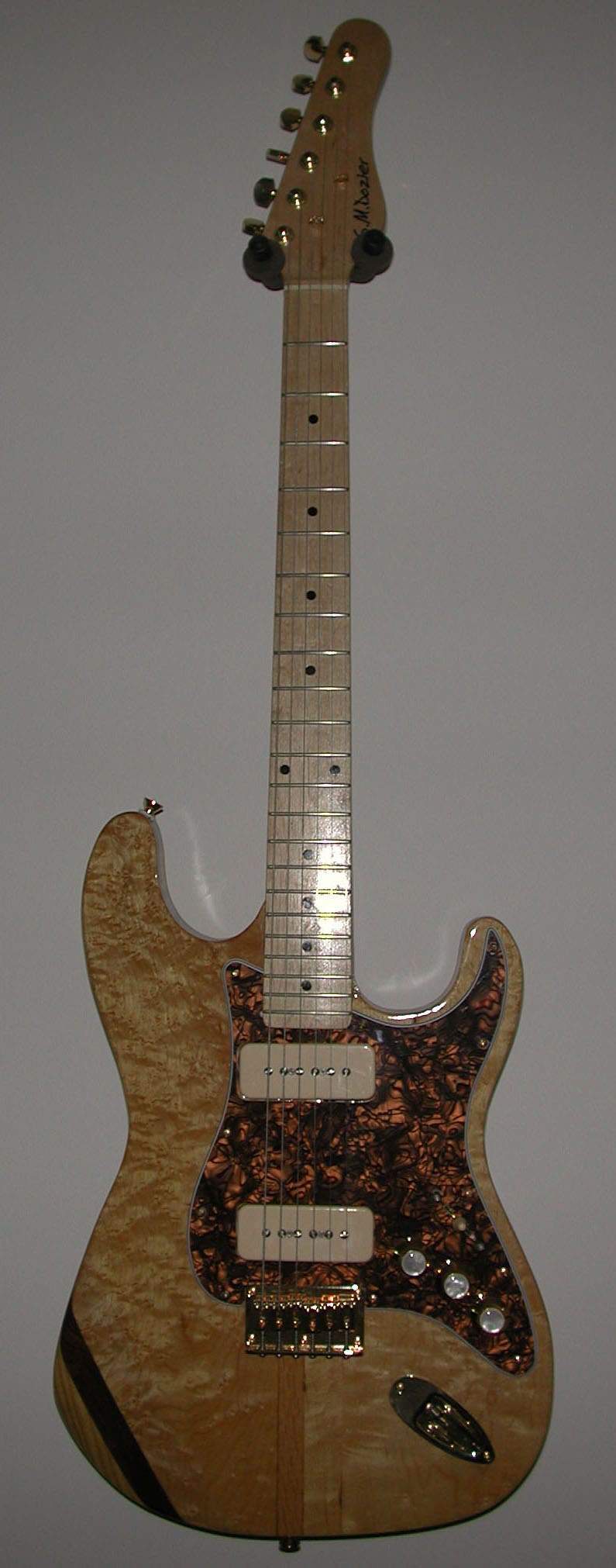 BIRDSEYESTRAT.jpg