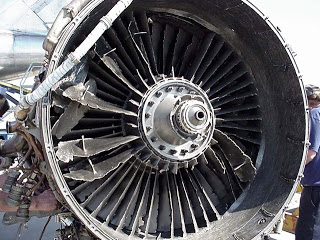 birdstrike.jpg