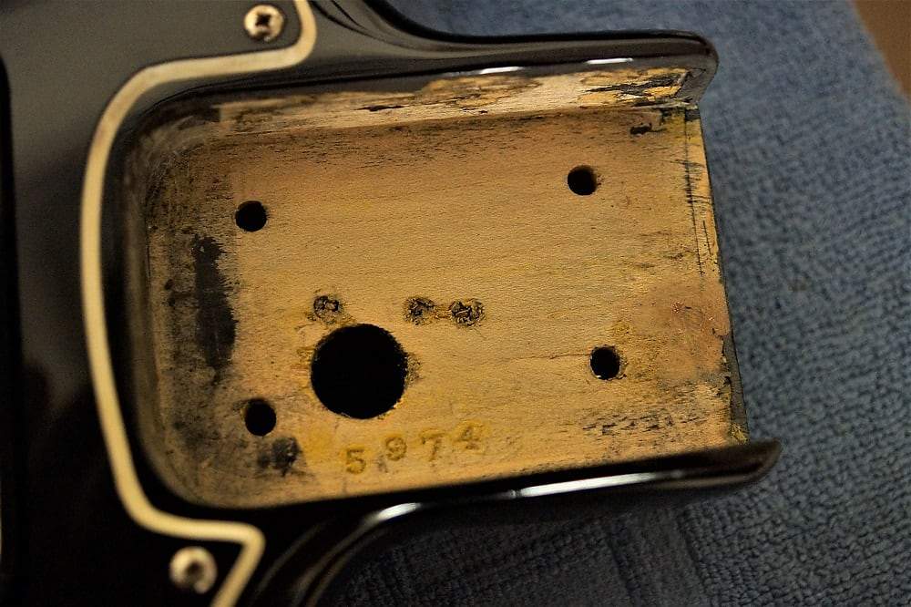 Bison serial.jpg