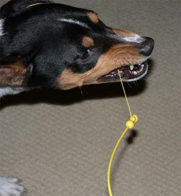 bite.jpg