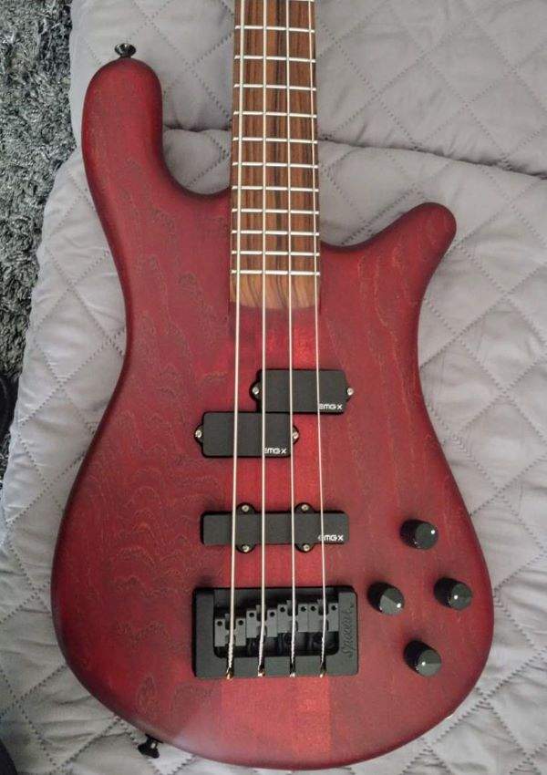 Black Cherry Forte Resized.jpg