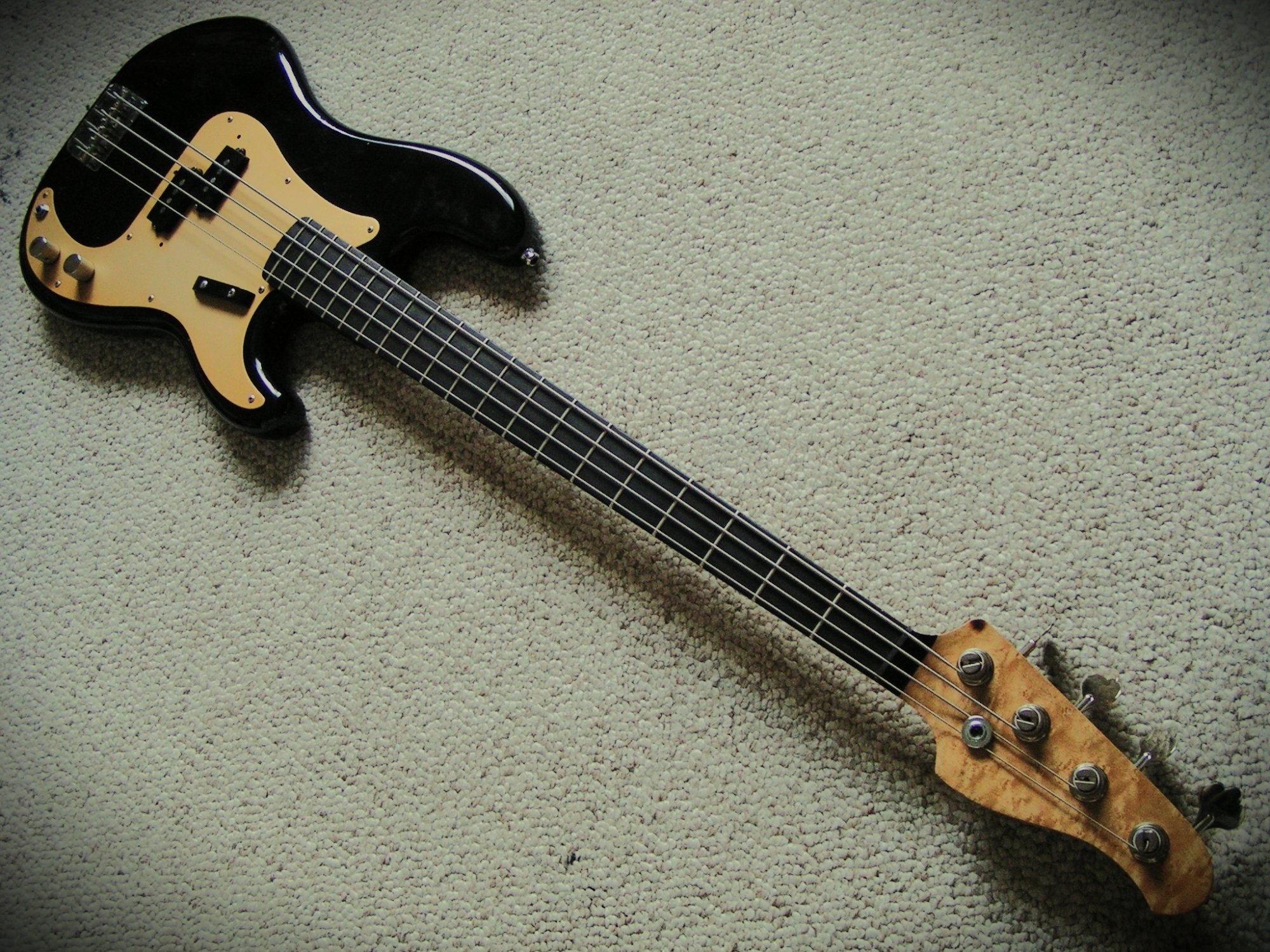 Black Gold Warmoth.JPG