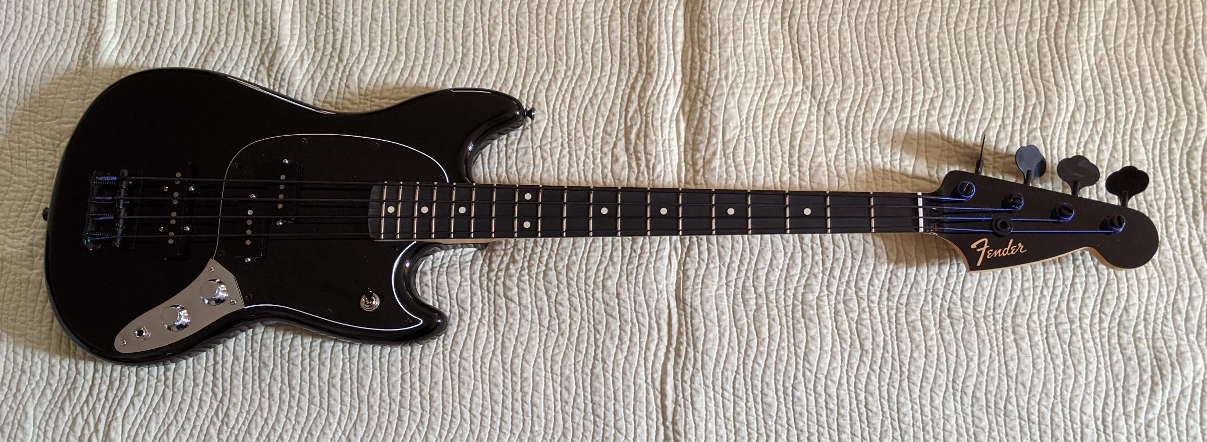 Black Mustang.jpg