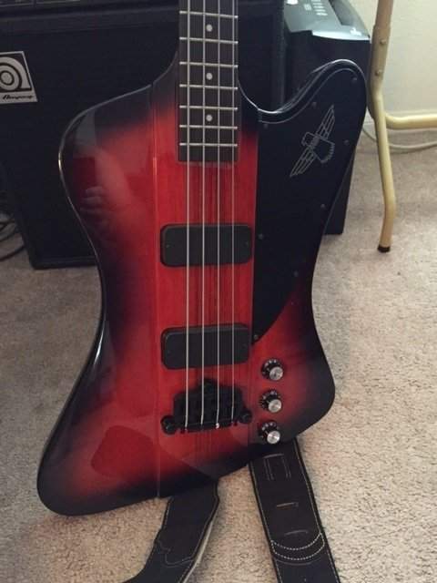 Black Pickguard 1.jpg