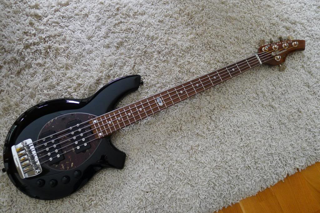 Black-tort-bongo_zps51ce46c5.jpg