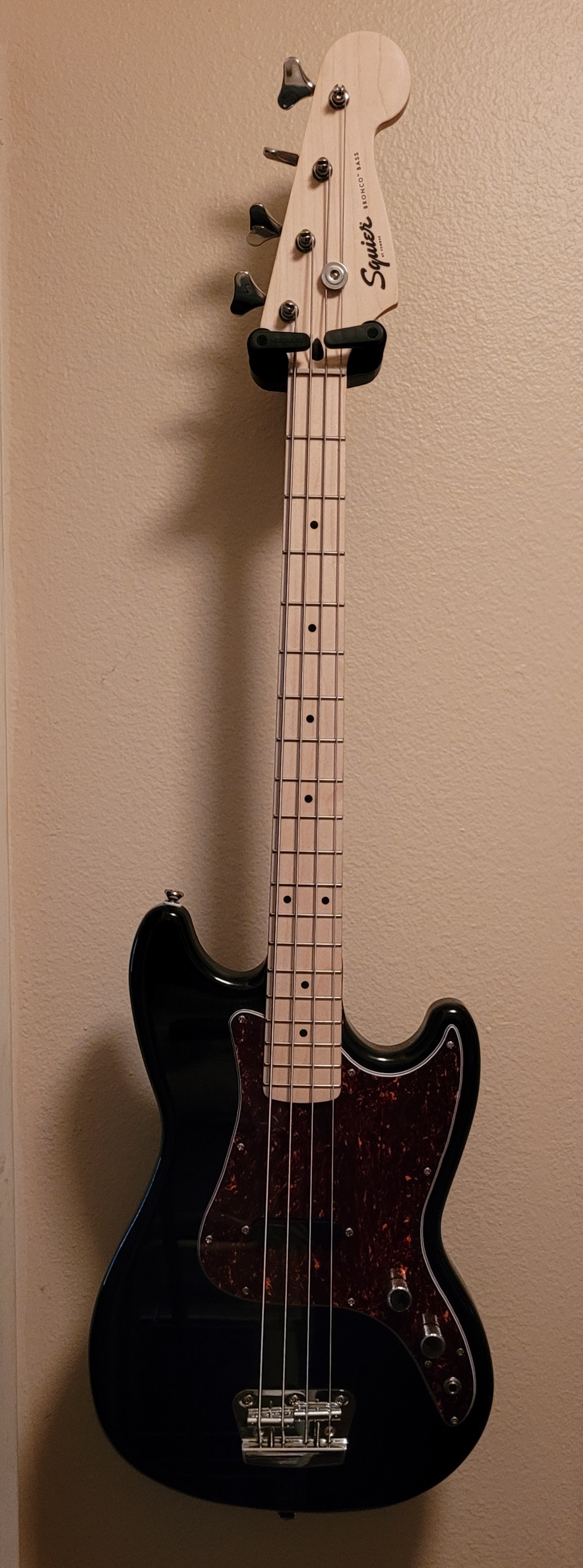 Black_Bronco_bass.jpg