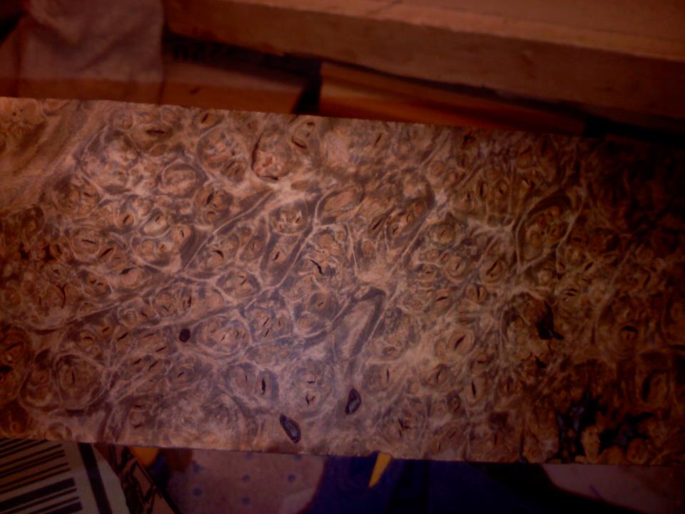 blackburl.jpg
