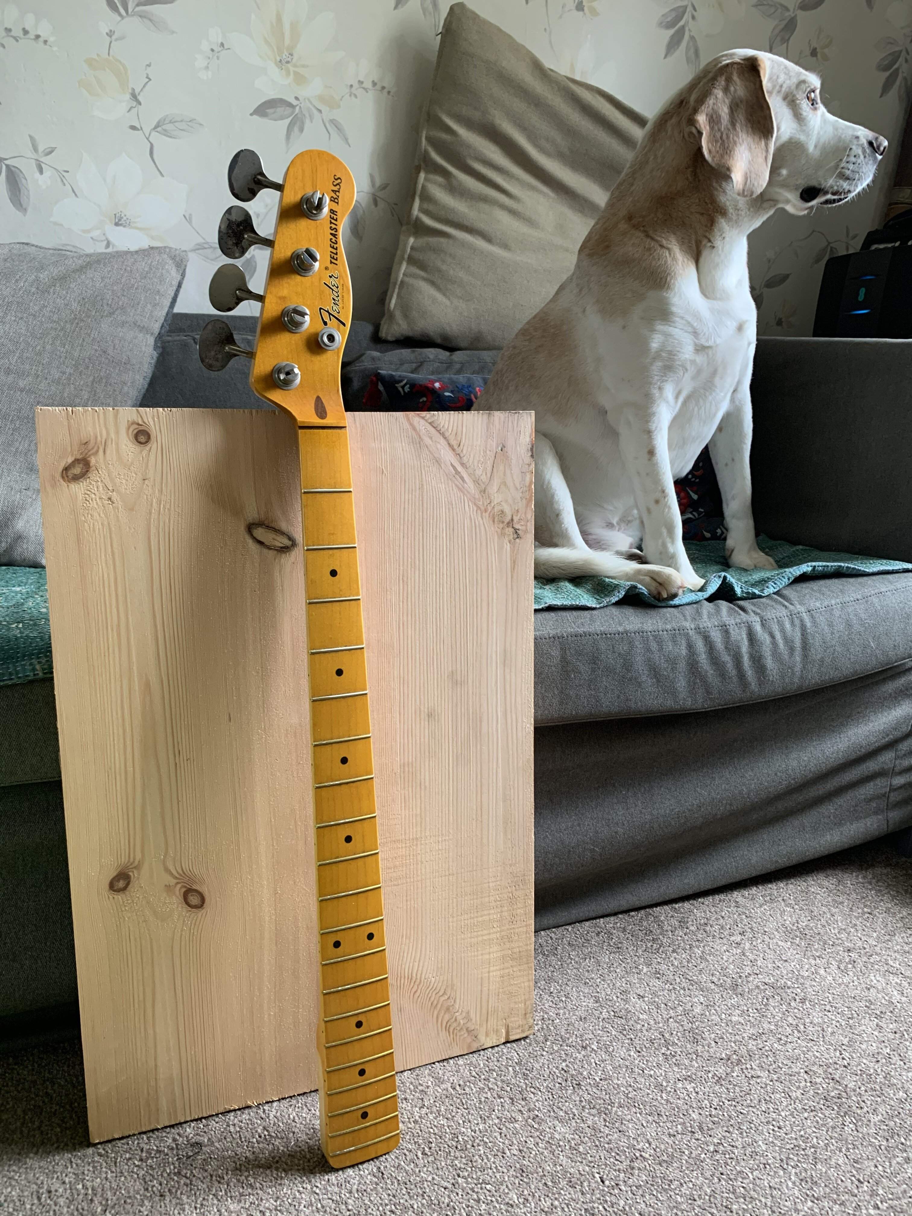 Blank and neck.jpg