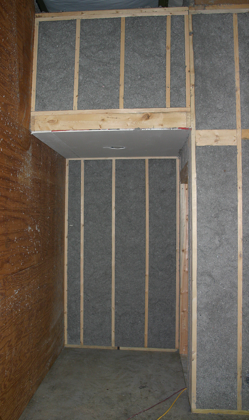 BLDG-CELLULOSE-1-LG.jpg