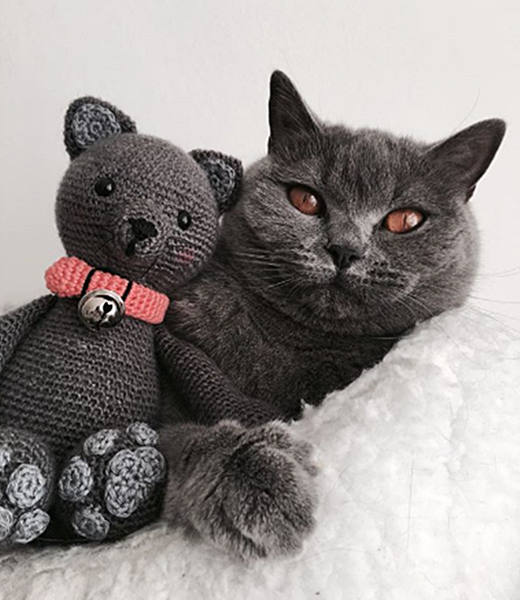 blk cat toy.png