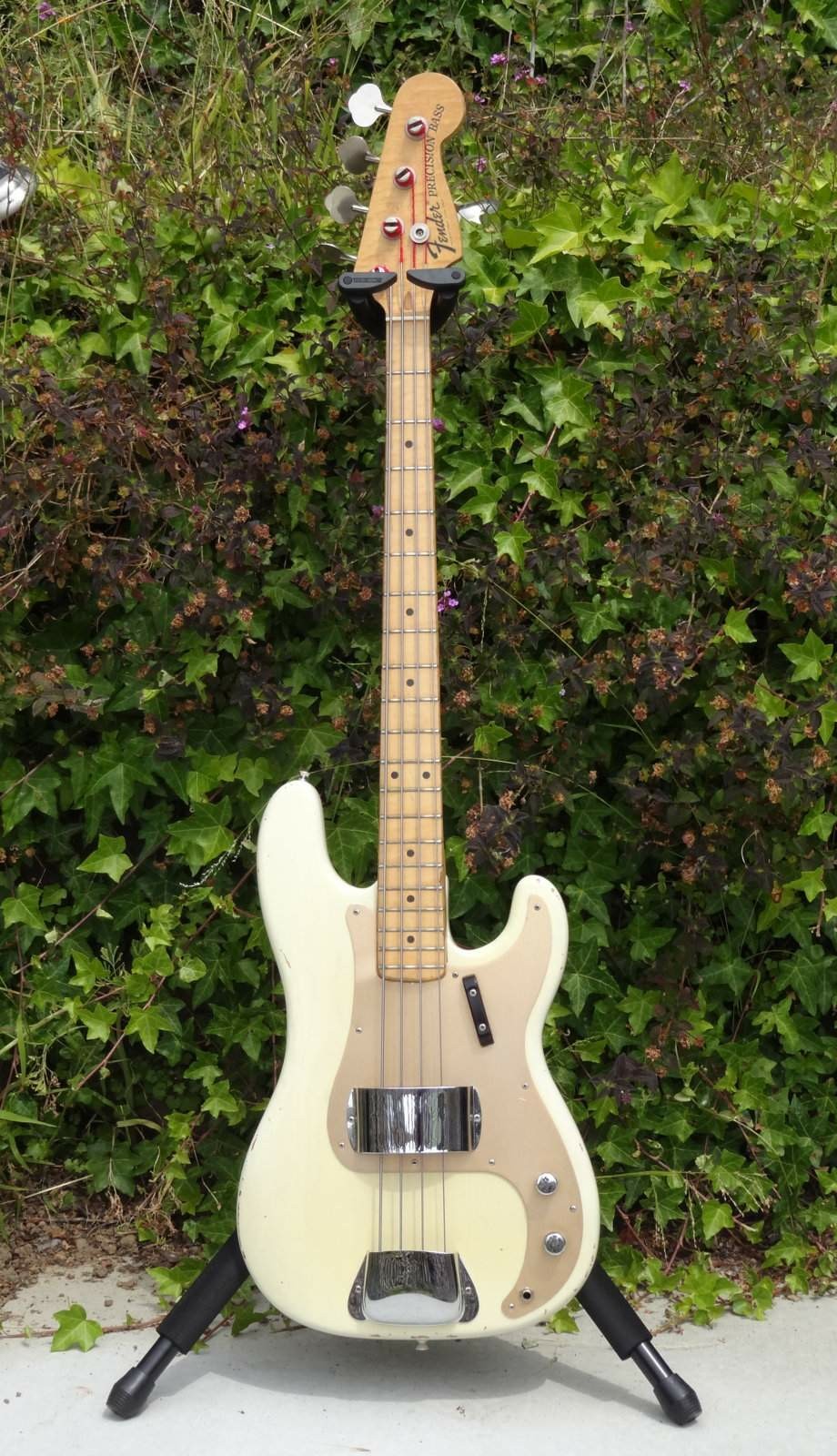 Blondie2~2.jpg