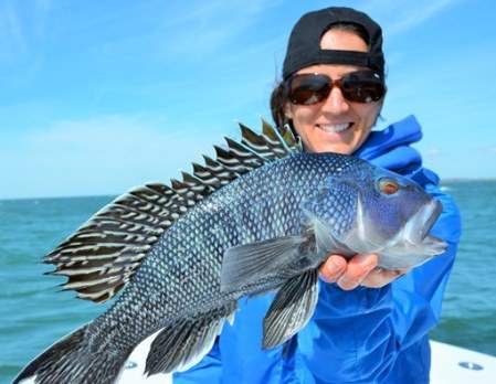 blue bass.jpg