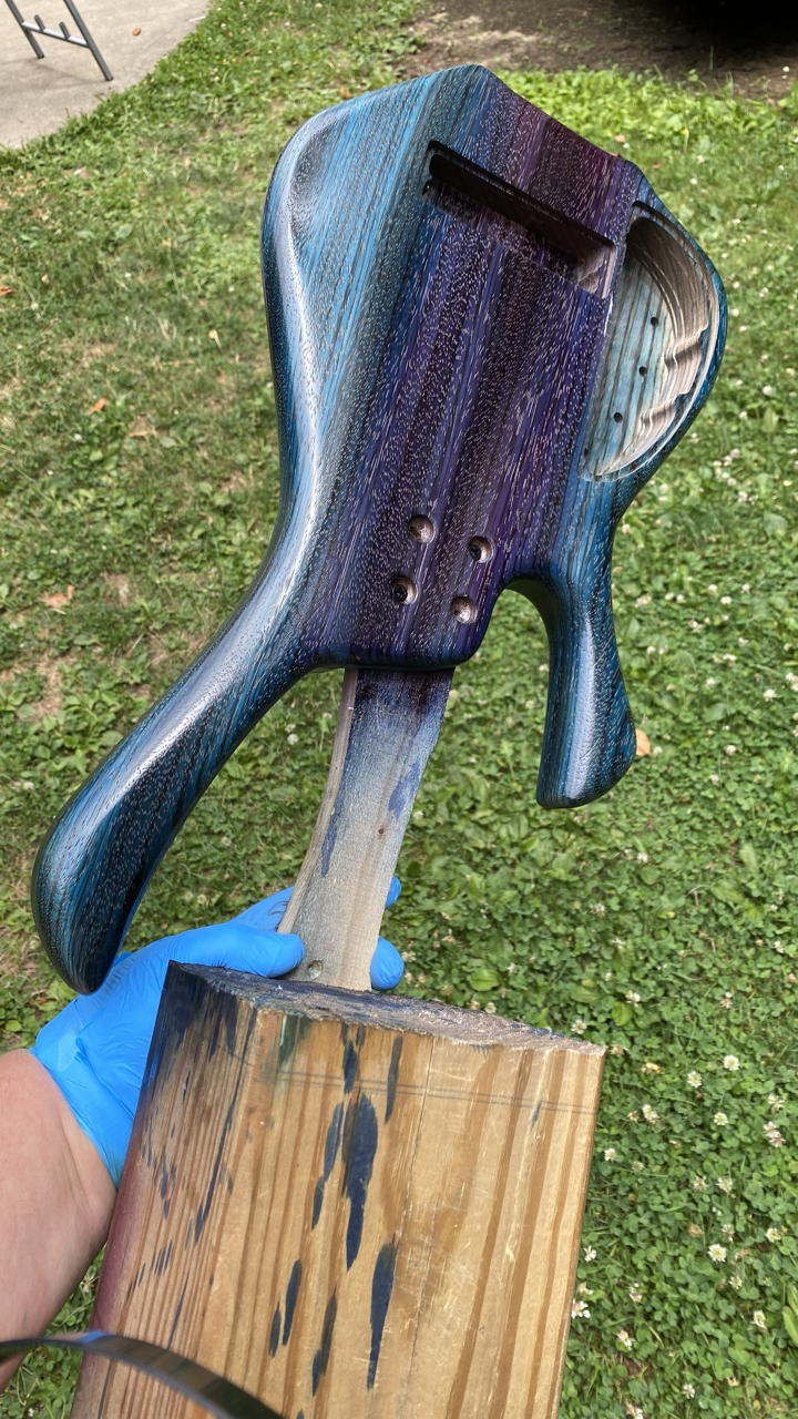Blueberry - back.png