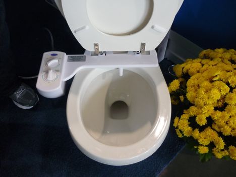 bluebidet.jpg