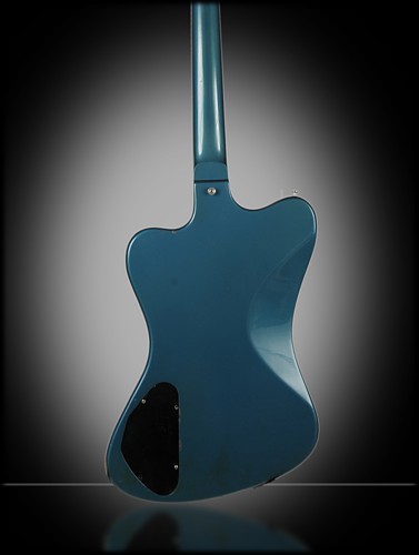 bluebirdback_zpsc860e2a0.jpg
