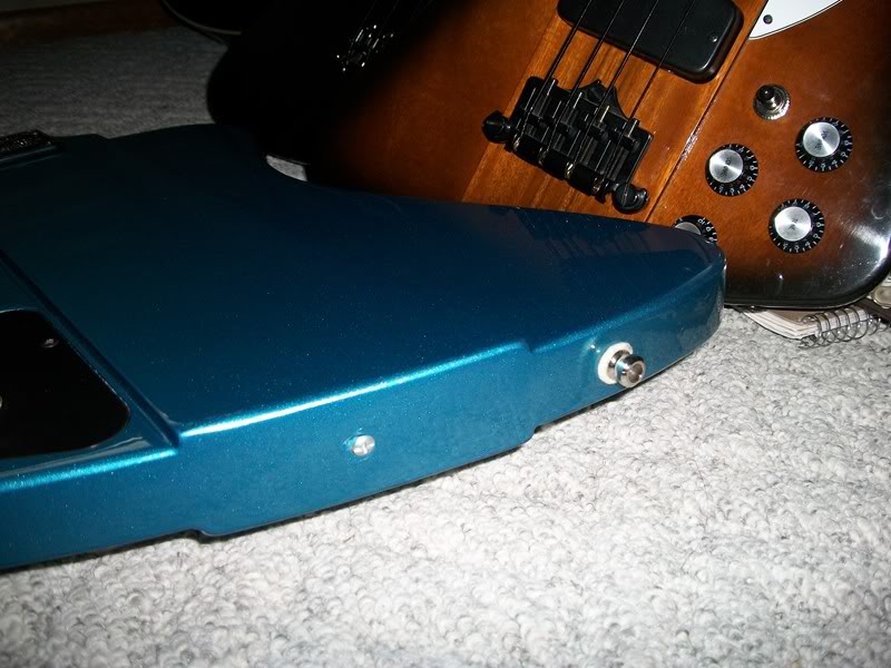 bluebirdbuttons004.jpg