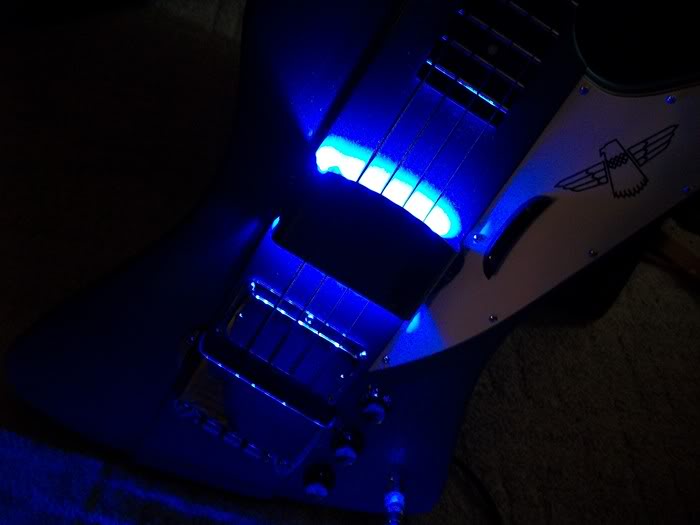 bluebirdLEDS006.jpg