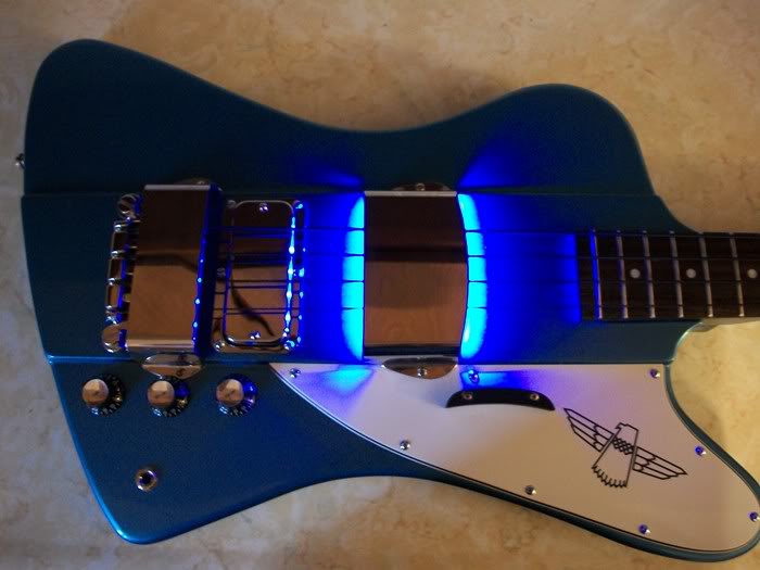 bluebirdLEDS007.jpg
